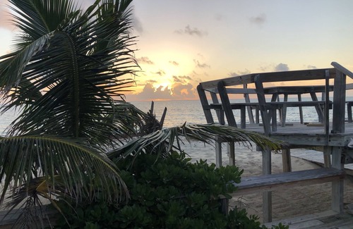 Man O War Cay Cottage | Oceanfront Retreat with Coral Reef Access & Pet-Friendly Amenities