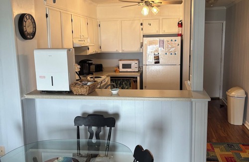 Ash Condo | Oceanfront Condo with Pool and 9.8/10 Guest Rating