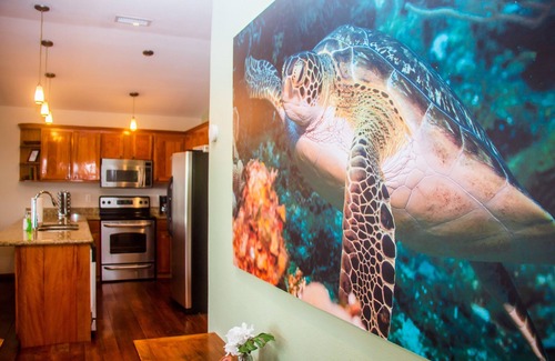 Antoneys Cay House | Beachfront Turtle Casa Penthouse: Dive, Snorkel & Kayak!