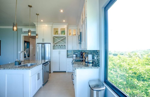 Placencia Condo | Oceanfront Gecko Condo: 10/10 Review with Pool & Ocean View