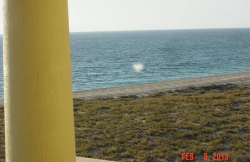 Todos Santos Villa | Oceanfront Whale View Inn: 10/10 Guest Satisfaction Awaits