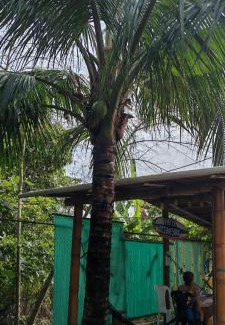 Mompiche Apartment | OCEANSURF hotel
