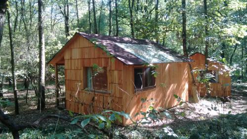 Kreuzstetten House | Discover OCHYS Waldfreizeitpark: Pet & Child Friendly Getaway