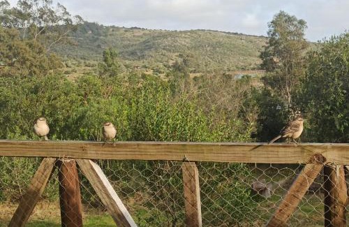 Villa Serrana House | Odisea: Highly Rated Stay with Family & Pet Amenities