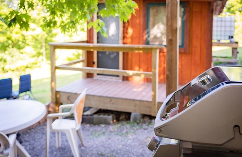 Town of Broome Cabin | Cozy Tiny House with Mountain Views & Spa Amenities