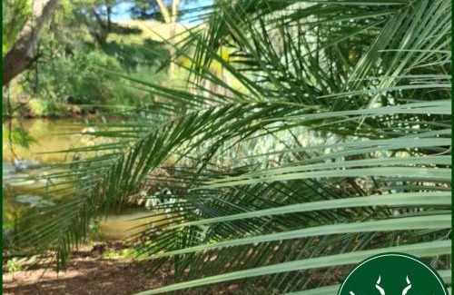 Hluhluwe Other | Unplug and Explore at Ngweni Private Game Farm Campsites