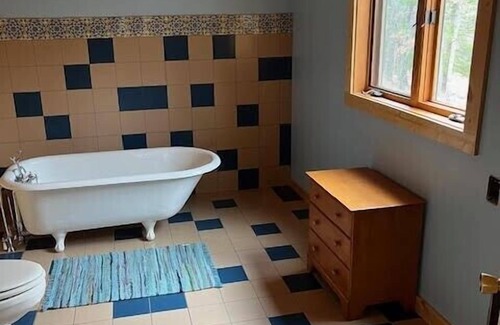 Manistee Cabin | Eco-Friendly Solar Cabin Retreat by Manistee River