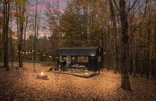 Bovina Center House | Cozy Off Grid Mountain Cabin with Pet-Friendly Amenities