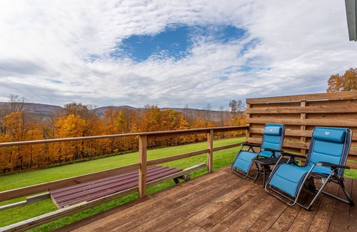 Town of Broome Cabin | Unique Stargazing Tiny Home with Mountain Views & Wi-Fi