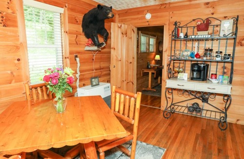 Willis Cabin | Discover the Unique Buffalo Mountain Getaway Experience