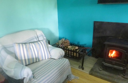 Crymych Cabin | Nature Escape: Pet-Friendly Retreat with Ocean Views