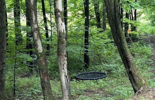 Morton Cabin | Tranquil Private Cabin Retreat on 40 Acres of Nature