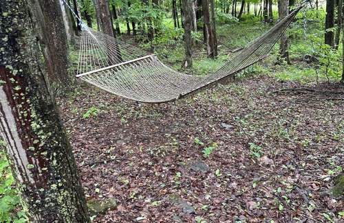Morton Cabin | Tranquil Private Cabin Retreat on 40 Acres of Nature