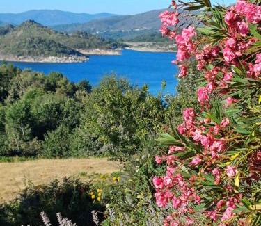 Montalegre Bed & Breakfast | Stunning Oceanfront Retreat at Oficina Do Joe Guesthouse