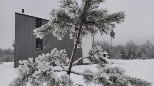 Skangali House | Outstanding OH DEER Holiday House: Top Rated with Hot Tub