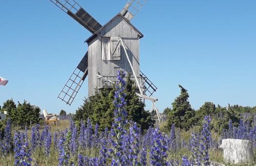 Saaremaa Cabin | Relax at Ohessaare Tuulik & Rannakohvik with Ocean Views