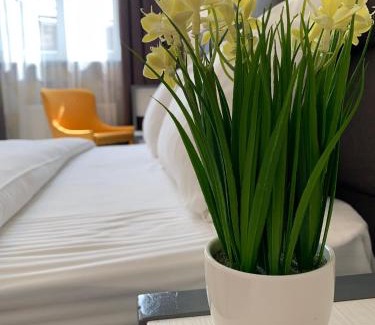 Lviv City Center Apartment | Ideal Family Retreat at OK Apartments Nasypna, Rated 9.9/10
