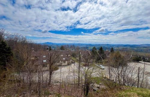 Ludlow Apartment | Pet-Friendly Retreat at Okemo Trailside 36E for Families
