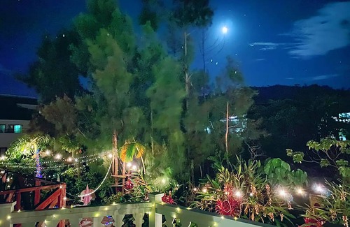 Nakama Cottage | Experience Okinawa Starry Forest Cottage with Oceanfront Bliss