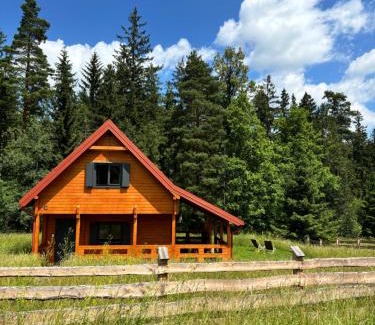 Polanica-Zdroj Ski Chalet | Exceptional Ocean View at Okno na las - Rated 9.9/10