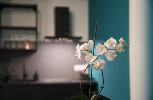 Milazzo Apartment | Oktò Apartments Milazzo: Rated 9.3/10, Family Friendly Stay