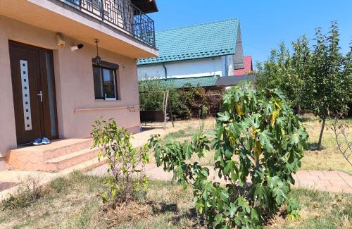 Bradu House | Ola's House