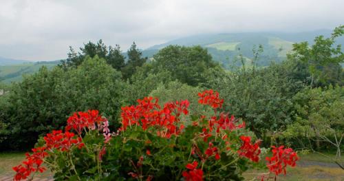 Olaskoegia House | Discover Olaskoaga Goikoa: Rated 9.2/10, Family-Friendly Stay
