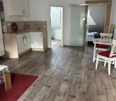 Heidelberg City Centre Apartment | Scenic Old Bridge View Apartment with Family-Friendly Amenities