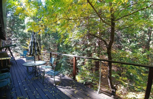 Glencoe Cabin | Experience Lake Mont Pines Creekside Cabin's Old School Fun