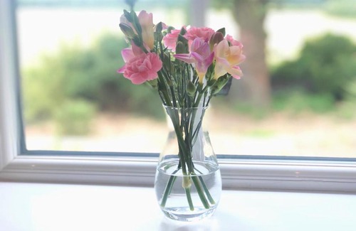 Ickburgh Bed & Breakfast | Pet-Friendly Stay at Old School House: 4-Star & Guest Rated 10/10