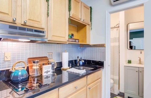 Old Town Alexandria Apartment | OLD TOWN Nature Oasis! Block 2 King! 99 Walk Score