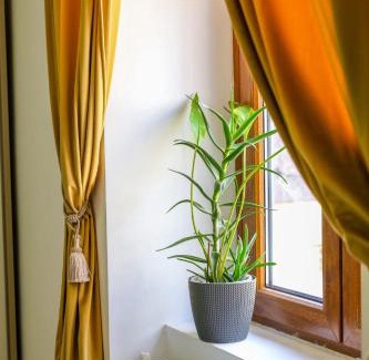 Old City Apartment | Pet-Friendly Old Town Cozy Apartment with Top Guest Ratings