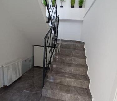 Baia Mare Apartment | Budget-Friendly Old Town Studio 2 Apartment near Attractions