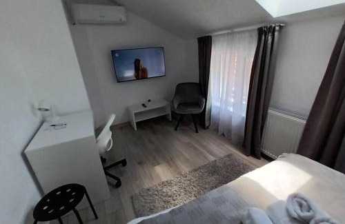 Baia Mare Apartment | Budget-Friendly Old Town Studio 2 Apartment near Attractions