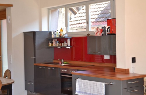 Hausen im Wiesental House | Modern Extension of Historic Wash House with Pet-Friendly Amenities