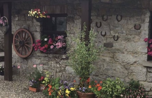 Pallaskenry Cottage | Inviting Country Cottage Near Adare with Kitchen | Guest Rated 9.8