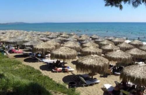 Kourouta House | Discover Olga's Garden Home - Douneika, Pet Friendly Retreat