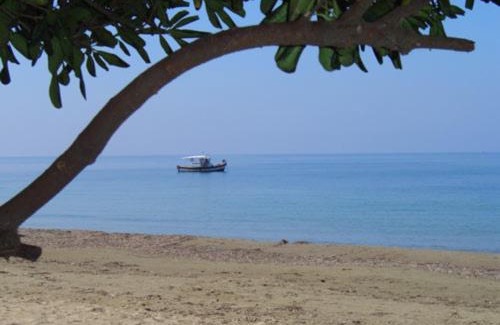 Kourouta House | Discover Olga's Garden Home - Douneika, Pet Friendly Retreat