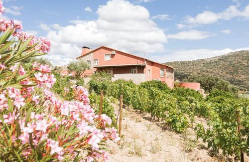 Cabanas de Baixo House | Experience Olhares do Douro: Poolside Bliss & Ocean Views