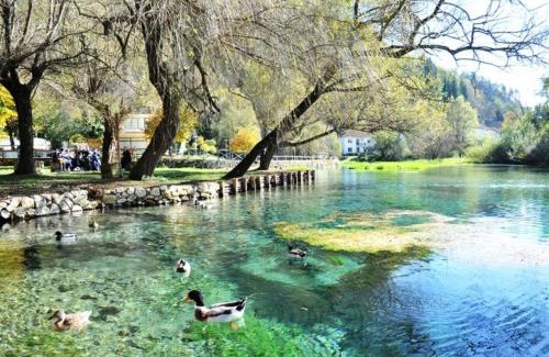 Sora Hotel | Discover Pet-Friendly Comfort at Olimpus Hotel, 4-Star Stay