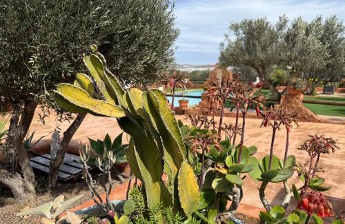 Los Albaricoques Apartment | Discover Olivares Rural: Pet-Friendly with Ocean Views