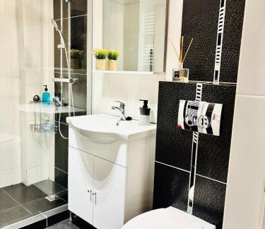 Iasi Apartment | Olive Apartament 3