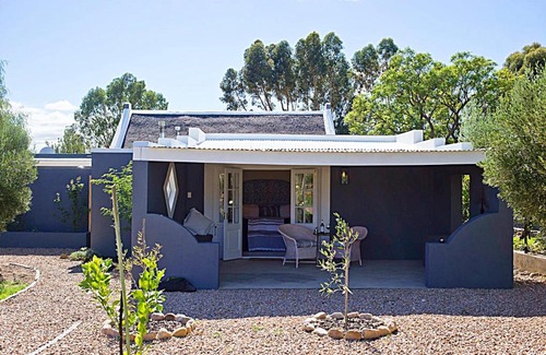 Prince Albert House | Exceptional Olive Grove Pip: Family-Friendly with Pool Access
