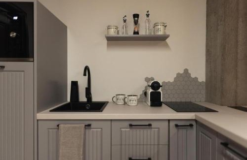 Baia Mare Apartment | Top-Rated Olive Residence Apartment: Family-Friendly Stay