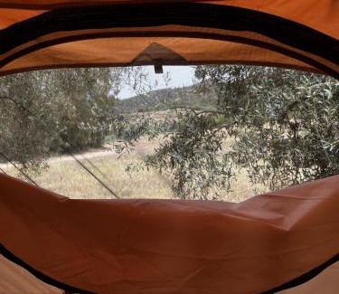 Quartu Sant'Elena Other | Relaxing Olive Tent Retreat with Pool in Our Garden
