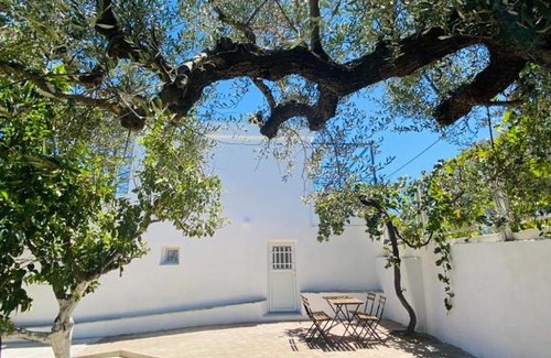 Elea Apartment | Oceanfront Olive Tree Cottage: Guest Rated 9.6/10