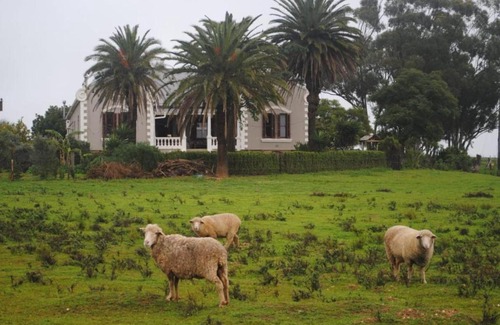 Moorreesburg House | Cozy Olive Tree Guesthouse: Family-Friendly with Kitchen