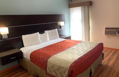 San Luis Obispo Hotel | Comfort and Convenience at Olive Tree Inn & Suites