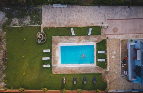 Aigialeia Apartment | Cozy Olive Tree Suites with Ocean Views and Pool Access