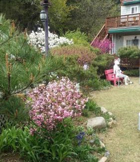Gyeongju House | Relaxing Olive Vanilla Pension with Pool & Child-Friendly Amenities